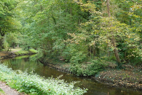 Flusslandschaft der Panke in Pankow im Herbst, Berlin