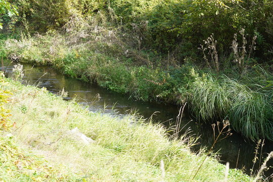 Flusslandschaft der Panke bei Blankenburg im Herbst, Berlin