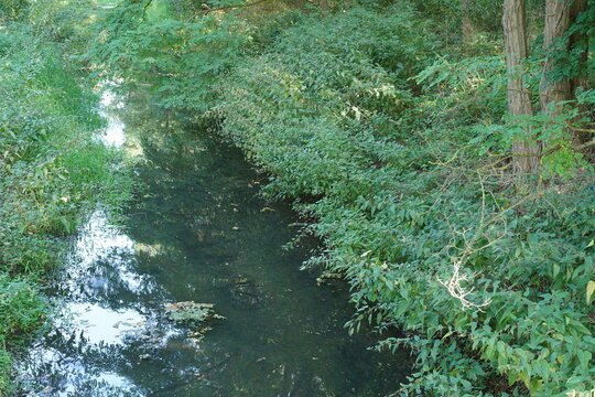 Gr&uuml;ne Flusslandschaft der Panke bei Karow (Pankow)