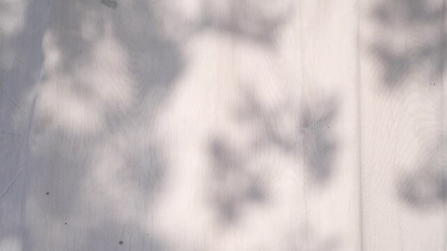 Light and shadow sunset on old retro beige fabric texture. vintage textile background. Abstract backdrop with floral pattern and crossed lines shadows.