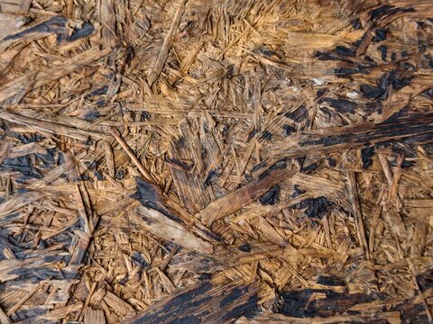 Raw OSB Chipboard Texture Natural Wooden Strand Panel Background