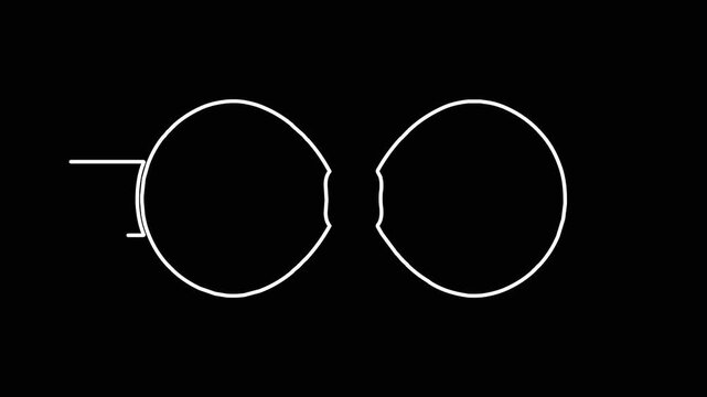 Minimalist white outline bow animation appearing on black background featuring symmetrical design and smooth motion path.