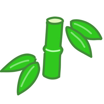 Green bamboo stalk with bamboo leaves. Hand drawn Japanese New Year auspicious plant illustration isolated on white background.
