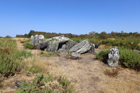 M&eacute;galithes dans les landes de Cojoux, ville de Saint Just, d&eacute;partement de l'Ille et Vilaine, Bretagne, France