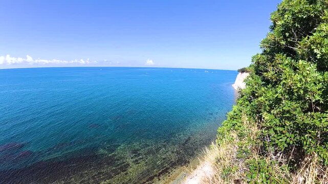 Coastal ocean horizon viewed from a vegetated cliff as calm blue water stretches toward the clear sky in a bright tropical seaside landscape