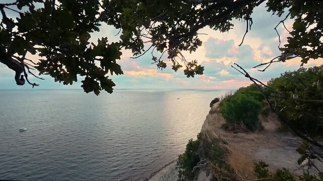 Coastal cliff overlooking calm sea beneath leafy branches and pastel sunset sky, with a narrow dirt path through dry grass and shrubs
