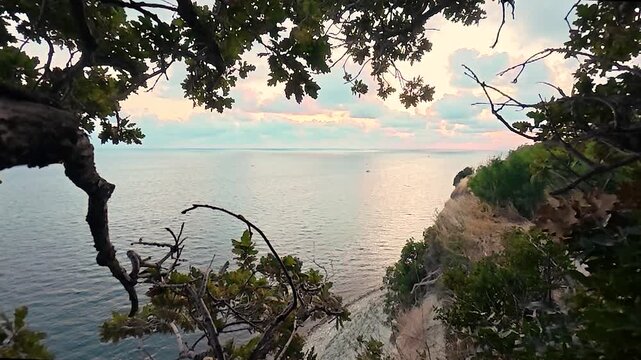 Calm sea stretches beside a rugged coastal cliff as leafy branches frame a narrow dirt path beneath a pastel sunset sky