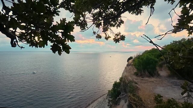 Coastal cliff overlooking calm sea beneath leafy branches and pastel sunset sky, with a narrow dirt path through dry grass and shrubs