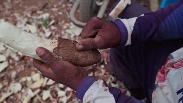 A farmer peels a cassava root over scattered skins in Chapada dos Veadeiros, Brazil, static shot.