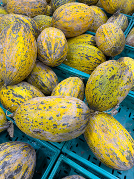 Fresh Kirkagac Melons Pile at Market, Turkish Sweet Melon Varieties. A vibrant close-up shot of a pile of fresh Kirkagac melons displayed in a grocery store basket. These traditional Turkish winter me
