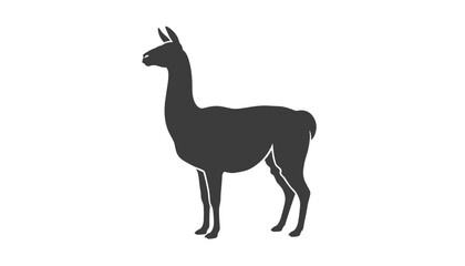 Fototapeta premium Minimalist silhouette illustration of a fluffy llama standing sideways on a plain white background showcasing clean lines and simple vector style.