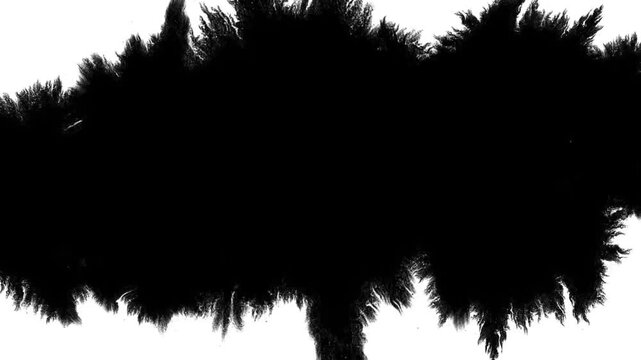 Deep black ink spreads on white, creating bold, textured visuals. Perfect for cinematic titles, transitions, or luma mattes in motion graphics and film projects with a dramatic, moody effect.