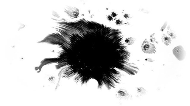 Deep black ink spreads on white, creating bold, textured visuals. Perfect for cinematic titles, transitions, or luma mattes in motion graphics and film projects with a dramatic, moody effect.