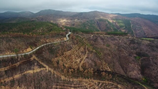 Devastating aerial shot of the serra de monchique hills in portugal, revealing the dramatic aftermath of a wildfire with burnt trees, scarred earth, and patches of surviving green forest