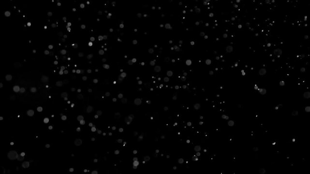 Cinematic stock video overlay featuring floating dust particles, lens flare bokeh circles, and soft light specks drifting against a solid black background