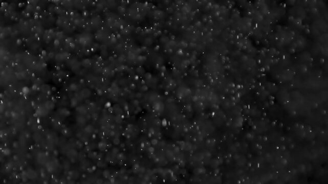 Cinematic stock video overlay featuring floating dust particles, lens flare bokeh circles, and soft light specks drifting against a solid black background