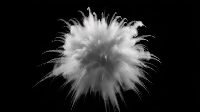 Fine white flour bursting sideways into a flat cloud on black