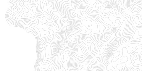 Abstract topography pattern seamless lines sea map modern design white background. Abstract digital topographic contour map concept space geometric strip grid line. Natural discovery of maps. © coal digger