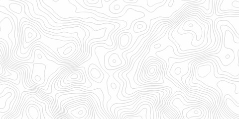 Abstract topography pattern seamless lines sea map modern design white background. Abstract digital topographic contour map concept space geometric strip grid line. Natural discovery of maps. © coal digger