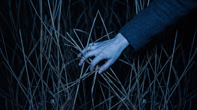 Hand touching dry grass in dark blue, symbolizing nature's fragility and the passage of time, evoking contemplation and introspection