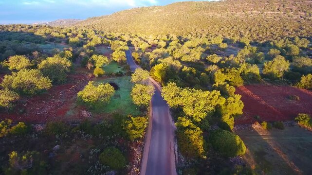 Aerial perspective of a single car driving along a winding asphalt road through a beautiful green and red earth landscape, illuminated by the warm light of the setting sun in the algarve, portugal