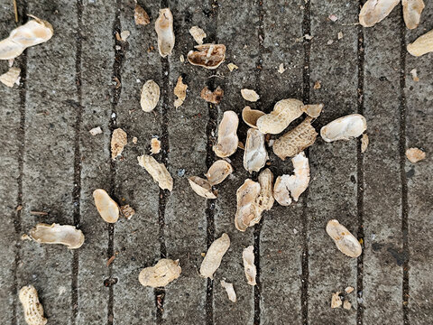 Top-down view of peanut shells scattered on grooved concrete floor.