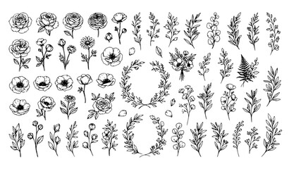Fototapeta premium Hand Drawn Botanical Flowers and Leaves