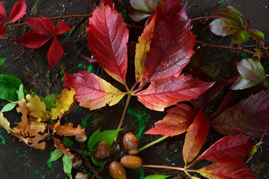 Herbstfeeling