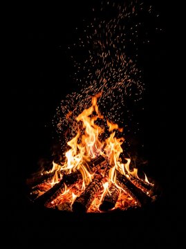 Make background black 2K 20261003193935 stock photo
