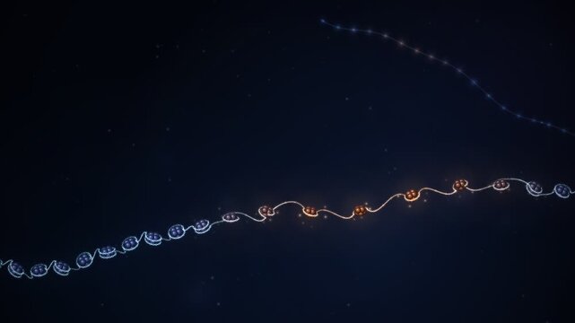 Chromatin Fiber Nucleosomes Unwinding DNA Beads on String Seamless Loop