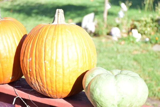 Pumpkins