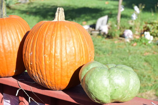 Pumpkins