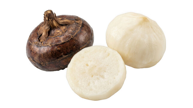 Water Chestnuts with textured skin and peeled flesh during studio lighting Isolated on transparent background