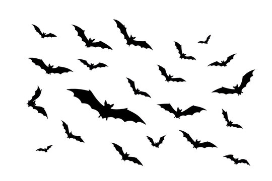 Flying bats isolated PNG, dark spooky silhouettes flow on transparent background, halloween graphic element