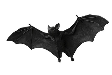 Flying bats set isolated PNG, three black spooky creatures on transparent background, halloween...