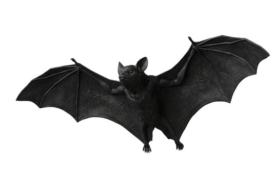 Flying bats set isolated PNG, three black spooky creatures on transparent background, halloween night animals