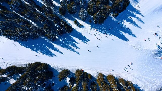 Aerial view of skiers on a snow slope surrounded by evergreen trees. High angle shot shows people skiing on white track with dark green shadow patterns under sunlight.
