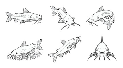 Obraz premium Rita Catfish Line Art Vector Icon Set for Freshwater River Fishing and Aquatic Design 
