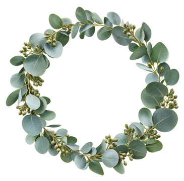 Minimalist green eucalyptus leaf circular wreath frame isolated on transparent background