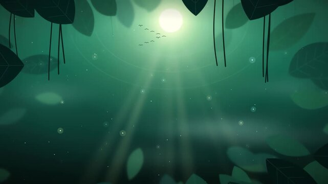 Tropical rainforest canopy light shafts through humid understory mist fireflies vines seamless loop background footage