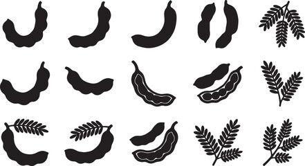 Obraz premium Set of black silhouette tamarind fruit pods and leaves icons on a white background