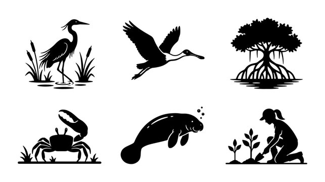 Coastal wetland silhouettes set with heron, flying bird, mangrove tree, crab, manatee and gardener for nature and ecosystem themes