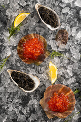 An assortment of black and red caviar served in oyster and scallop shells on ice with lemon and rosemary. Black and red caviar served inside oyster and scallop shells. Roe placed on crushed ice bed © Alla