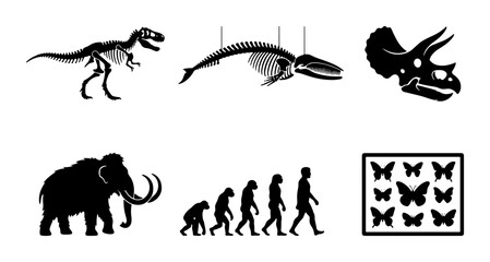 Evolution and ancient life silhouettes set with dinosaur, mammoth, human evolution, whale skeleton, triceratops skull and butterflies for science © Monir