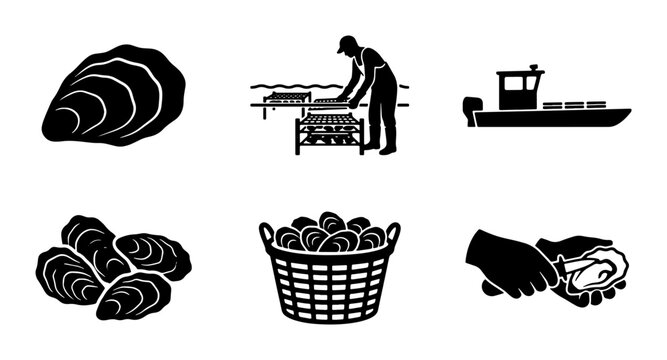 Oyster farm silhouettes set with oysters, worker, boat and shucking for seafood industry