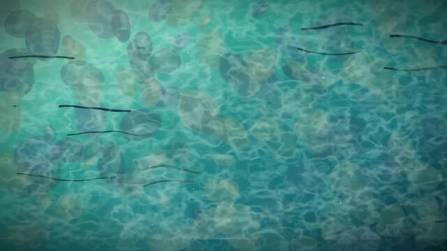 Crystal clear alpine stream flowing over smooth pebbles with shimmering caustic light perfect for nature wellness background footage