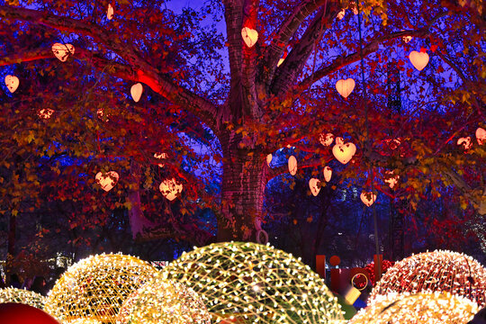 The Famous Illuminated Heart Tree at Rathauspark in Vienna, Austria