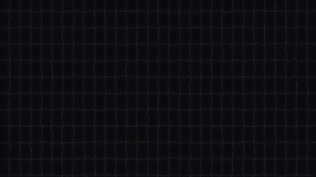 Minimal black grid background animation, thin glowing white lines shifting smoothly in perspective,  data graphics and visual overlays 4k  blueprints