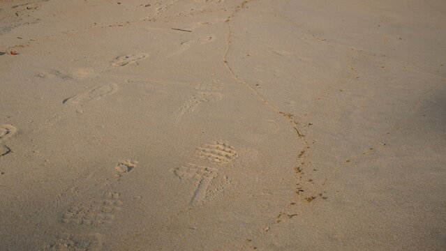 Human footprints and shoe prints stamped onto smooth golden beach sand near the water line. 