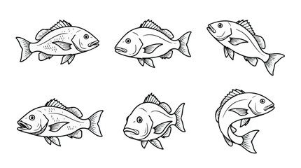 Obraz premium Red Snapper Line Art Vector Icon Set for Saltwater Sport Fishing and Commercial Seafood Design 